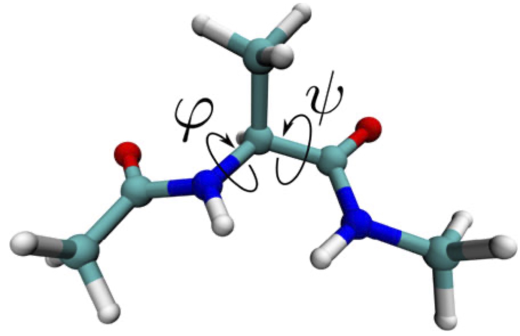 Alanine Dipeptide